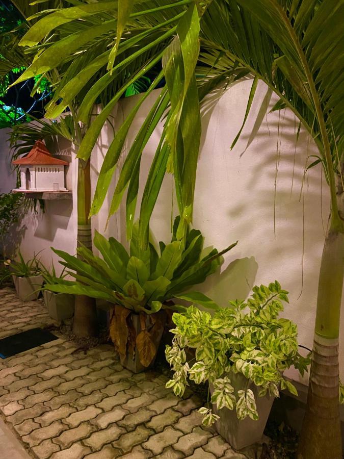 Guesthouse Bodensee Hikkaduwa Zewnętrze zdjęcie